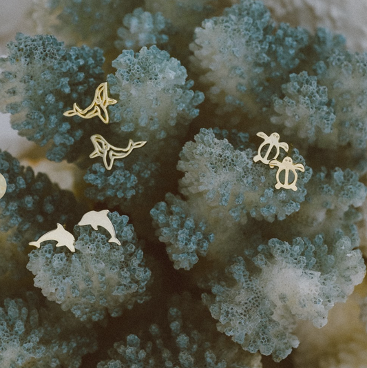 Glee Jewelry Dolphin Studs