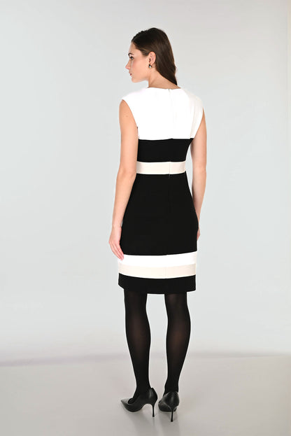 Frank Lyman Gabrielle Dress