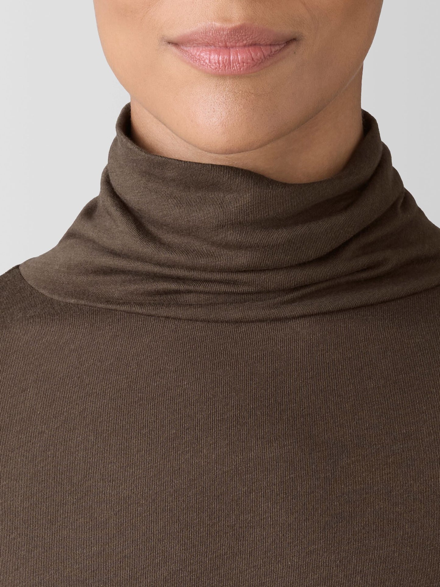 Eileen Fisher Sheer Knit Turtleneck Top