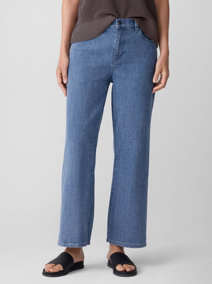 Eileen Fisher Cotton Stretch Denim Straight Jean