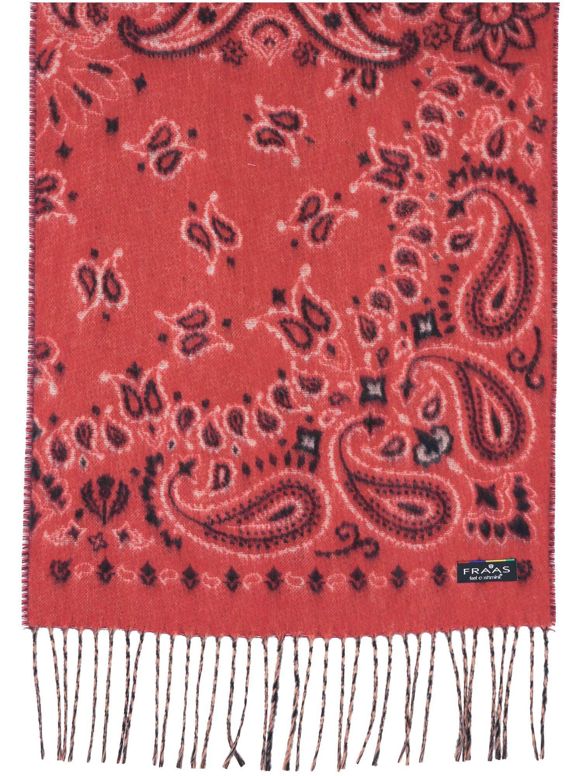 Paisley Scarf