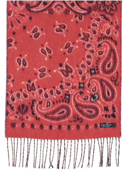 Paisley Scarf