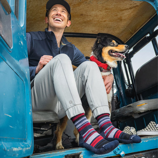 Smartwool Everyday Joviansphere Crew Socks